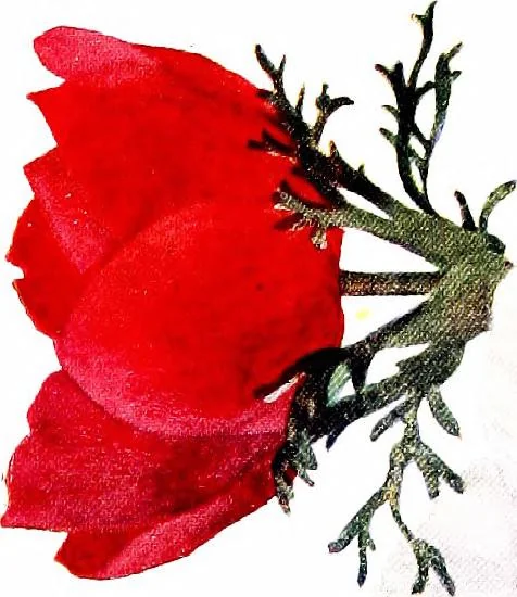 An illustration from My garden in spring, 1914, leaf 163