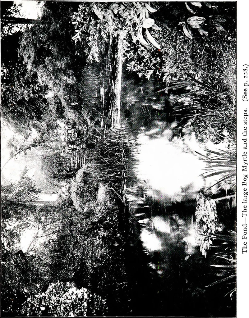An illustration from My garden in spring, 1914, leaf 207