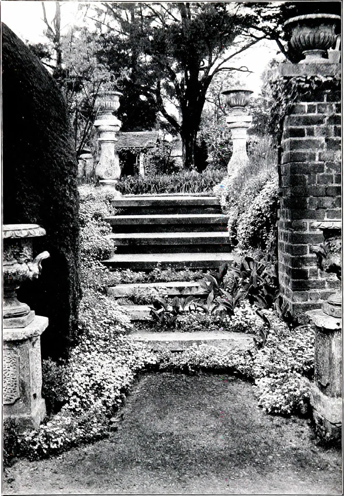 An illustration from My garden in spring, 1914, leaf 213