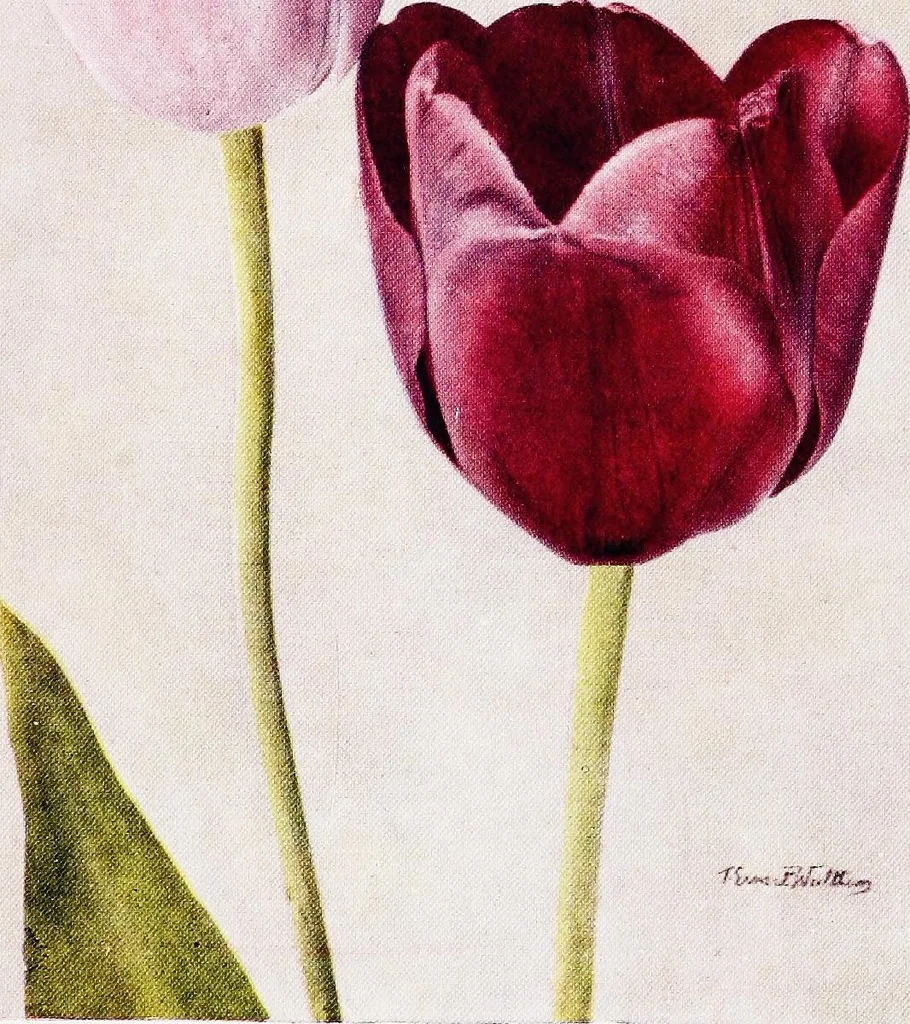An illustration from My garden in spring, 1914, leaf 265