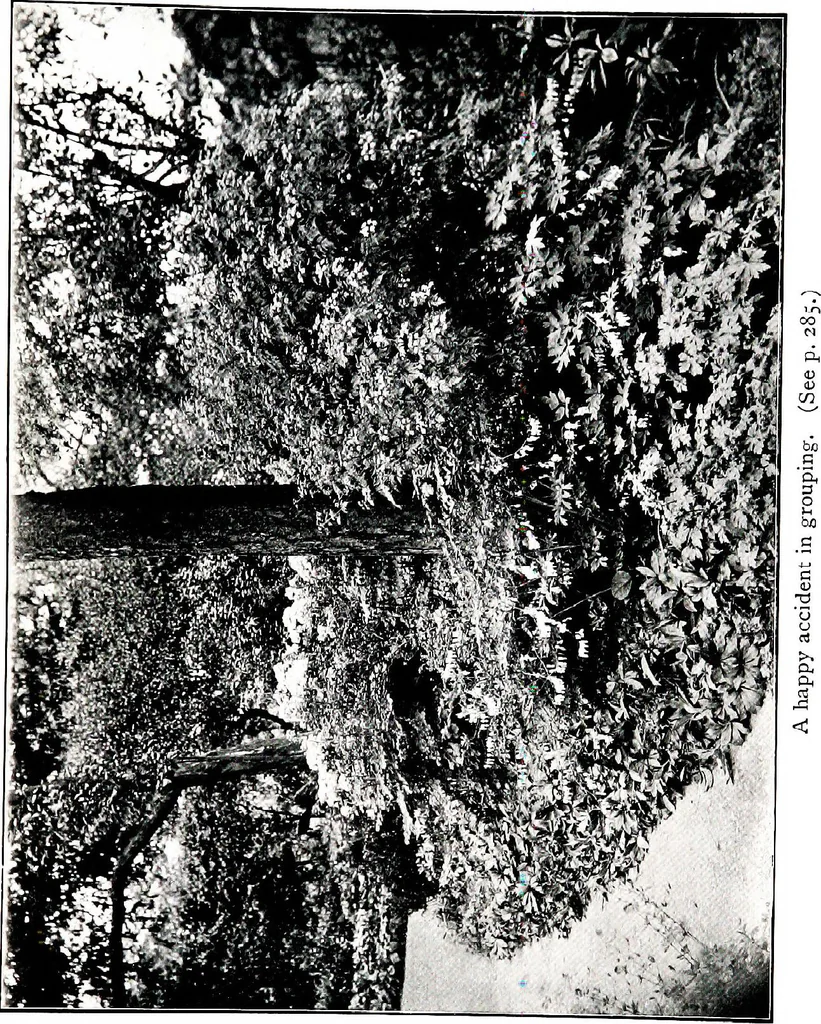 An illustration from My garden in spring, 1914, leaf 337