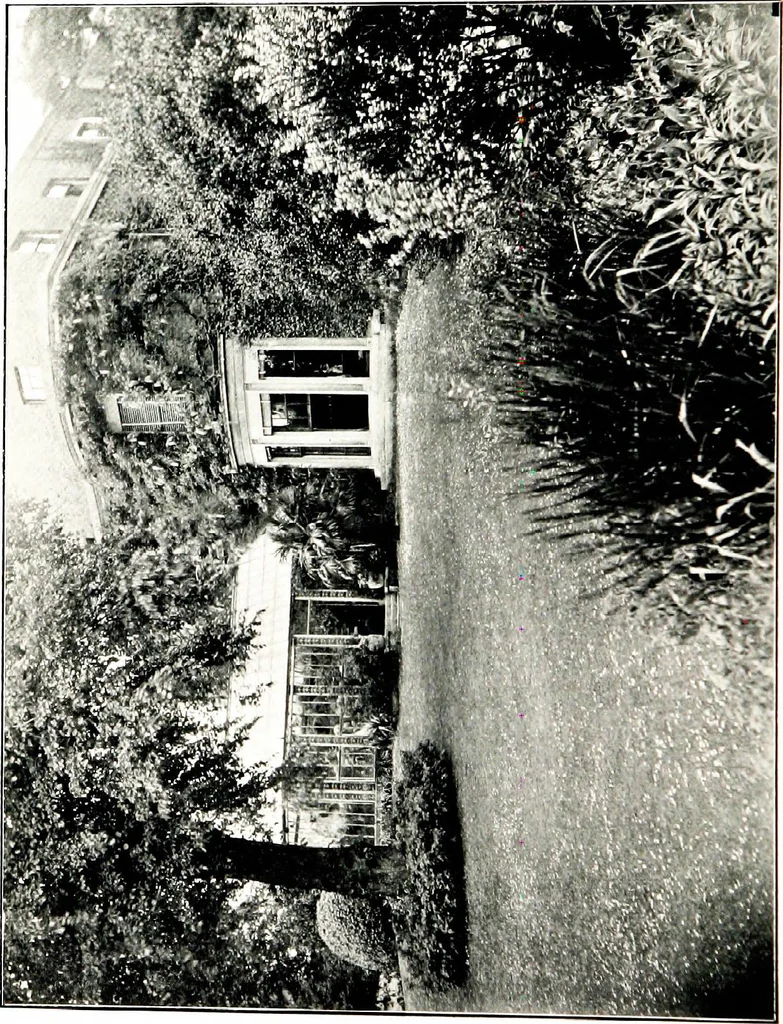 An illustration from My garden in spring, 1914, leaf 6