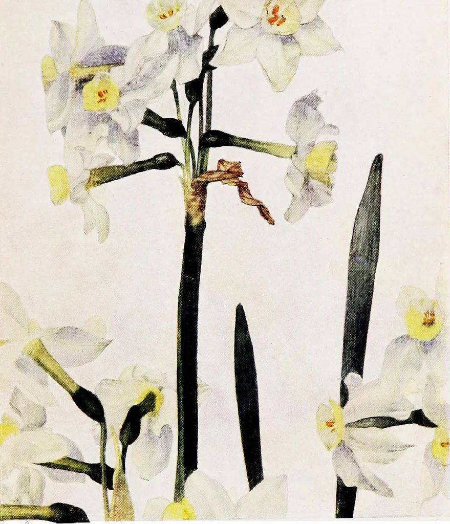 An illustration from My garden in spring, 1914, leaf 83