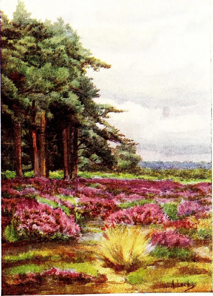 An illustration from The charm of gardens, 1910, leaf 100