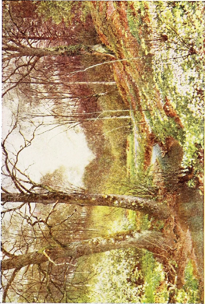 An illustration from The charm of gardens, 1910, leaf 14