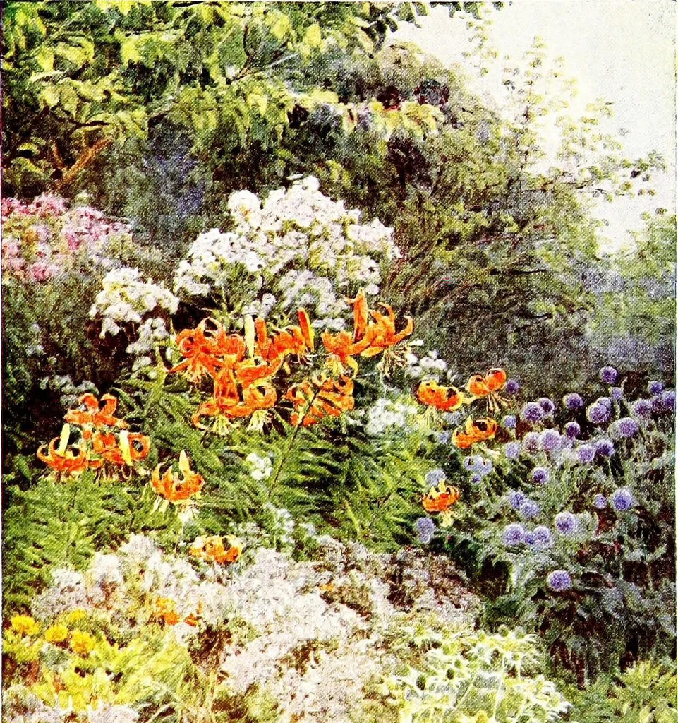 An illustration from The charm of gardens, 1910, leaf 189