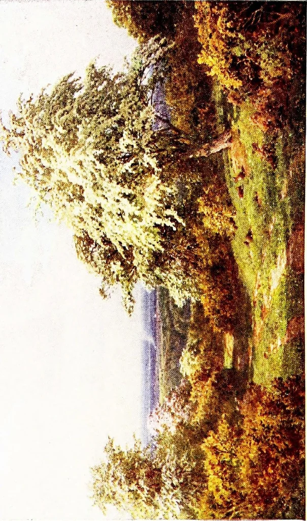 An illustration from The charm of gardens, 1910, leaf 249