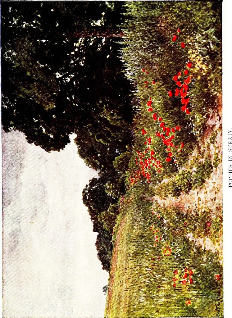 An illustration from The charm of gardens, 1910, leaf 51
