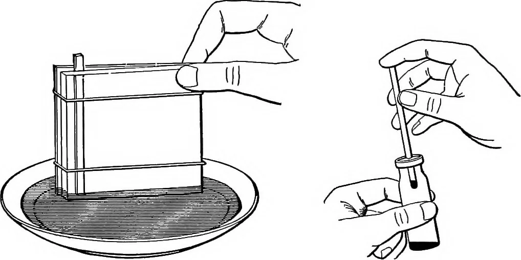 An illustration from Inductive elementary physical science with inexpensive apparatus, and without laboratory equipment, 1897, leaf 75