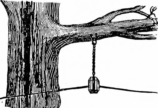 An illustration from Things a boy should know about electricity, 1900, leaf 121