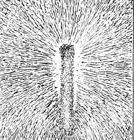 An illustration from Things a boy should know about electricity, 1900, leaf 30