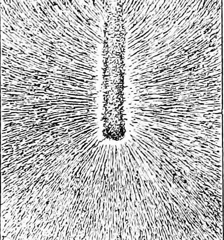 An illustration from Things a boy should know about electricity, 1900, leaf 30