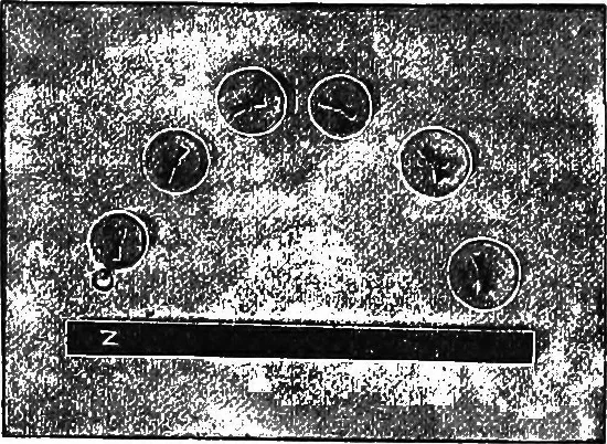 An illustration from Physics of the household, 1914, leaf 186