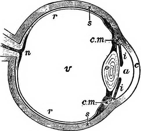 An illustration from Physics of the household, 1914, leaf 278