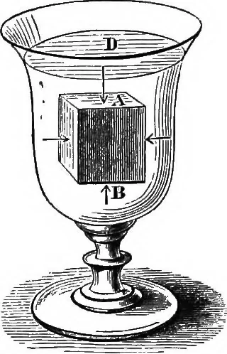 An illustration from Elements of chemical physics, 1860, leaf 264