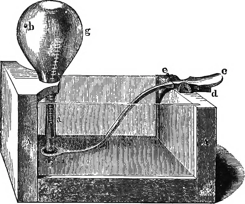 An illustration from Elements of chemical physics, 1860, leaf 696