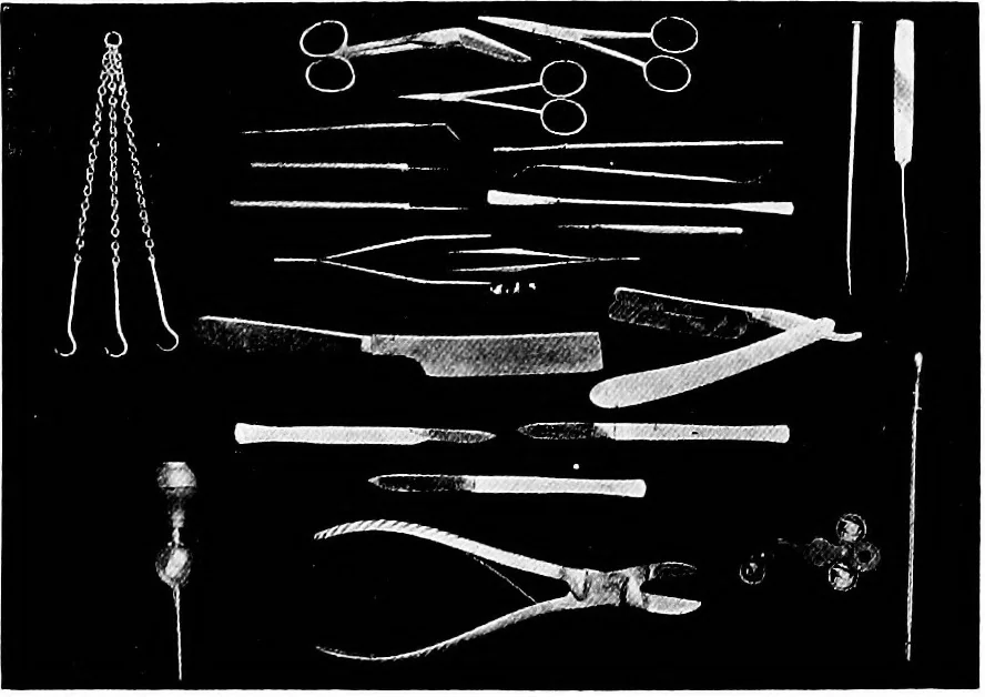 An illustration from Methods in microscopial research; vegetable histology, 1905, leaf 27