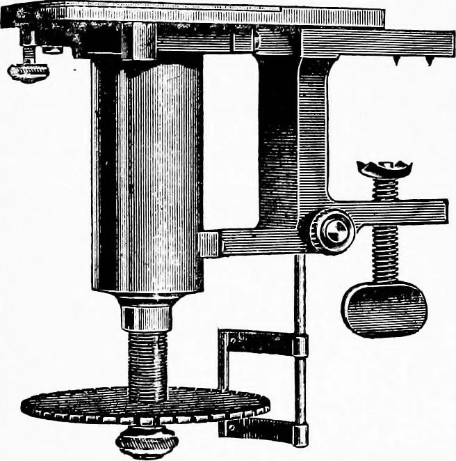 An illustration from Methods in microscopial research; vegetable histology, 1905, leaf 29