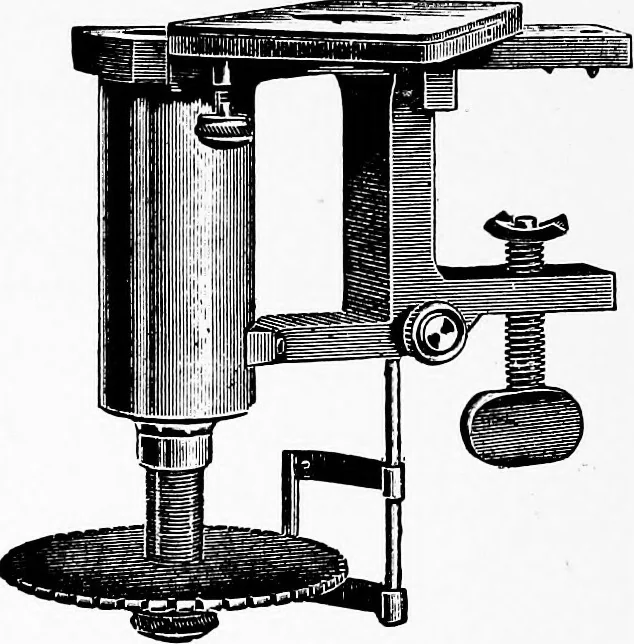 An illustration from Methods in microscopial research; vegetable histology, 1905, leaf 29