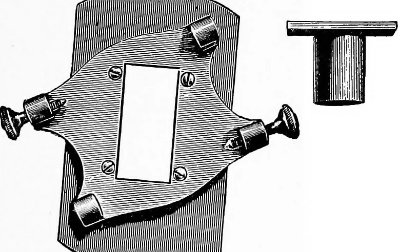 An illustration from Methods in microscopial research; vegetable histology, 1905, leaf 29