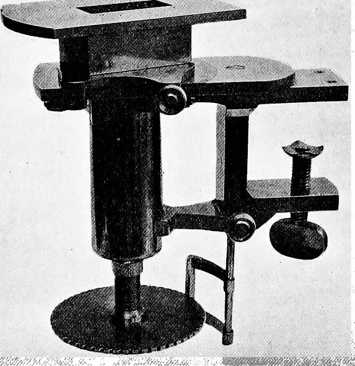 An illustration from Methods in microscopial research; vegetable histology, 1905, leaf 31