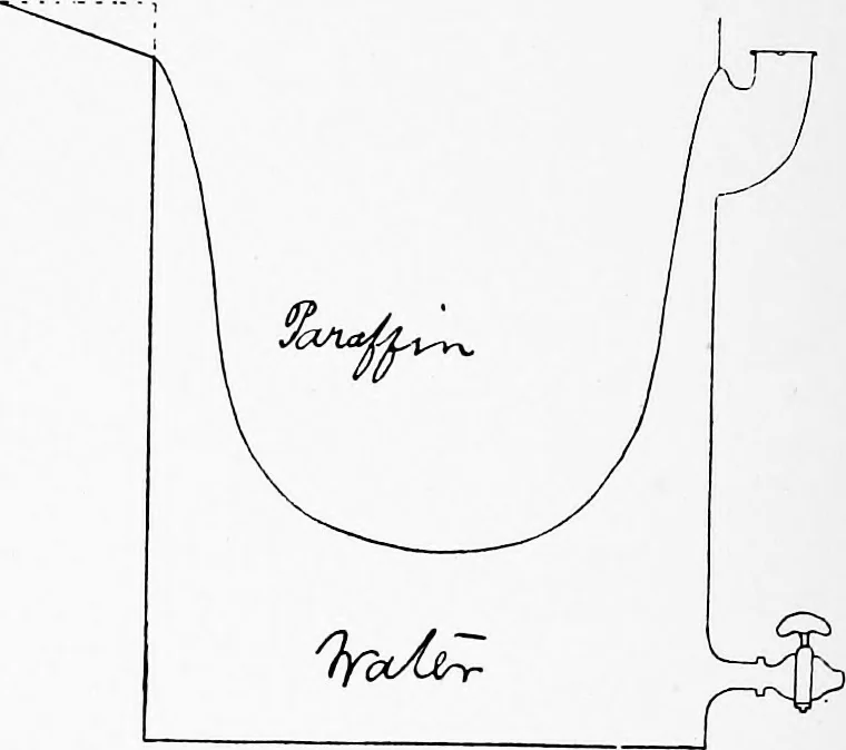 An illustration from Methods in microscopial research; vegetable histology, 1905, leaf 33