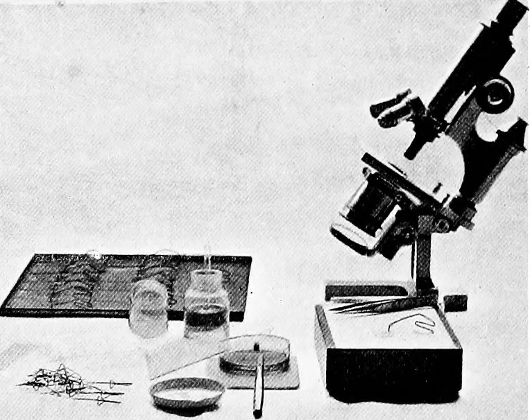 An illustration from Methods in microscopial research; vegetable histology, 1905, leaf 45