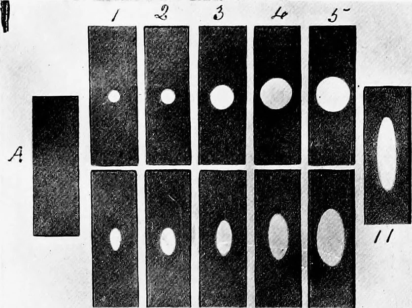 An illustration from Methods in microscopial research; vegetable histology, 1905, leaf 46