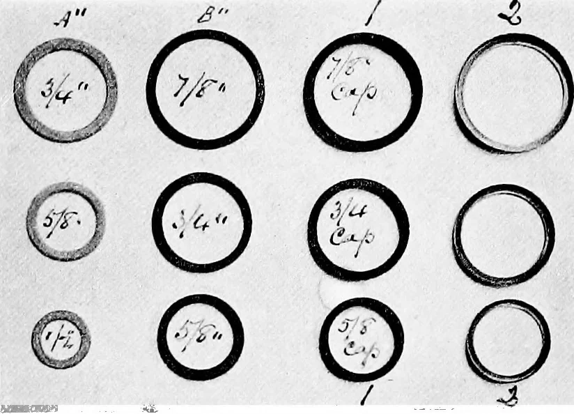 An illustration from Methods in microscopial research; vegetable histology, 1905, leaf 47