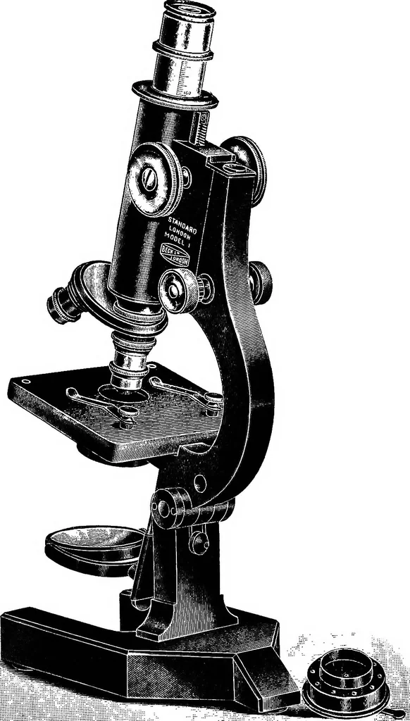 An illustration from The microscope; a simple handbook, 1921, leaf 100