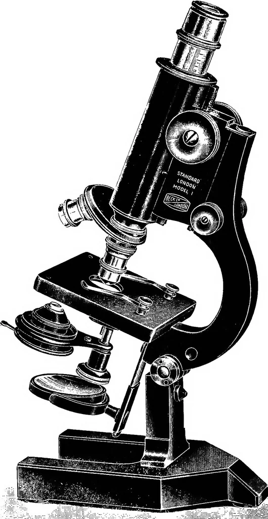 An illustration from The microscope; a simple handbook, 1921, leaf 101