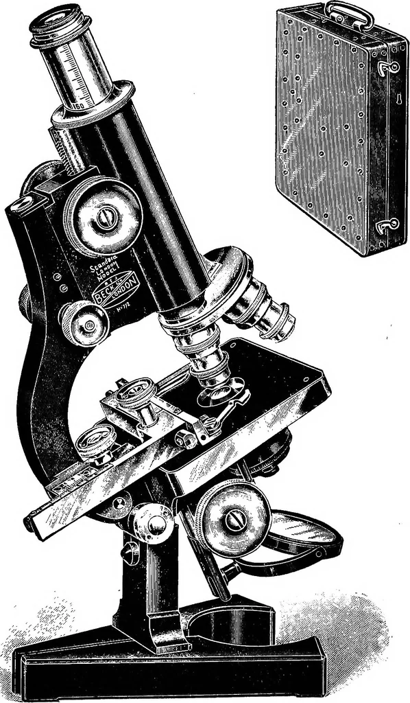 An illustration from The microscope; a simple handbook, 1921, leaf 105