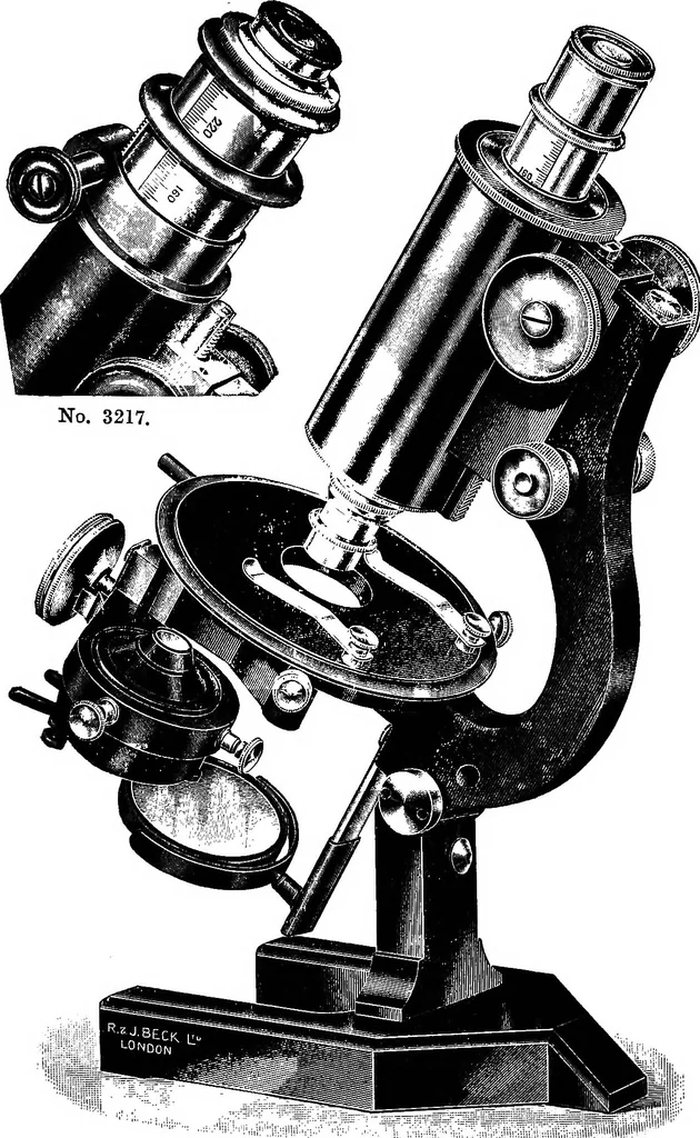 An illustration from The microscope; a simple handbook, 1921, leaf 106