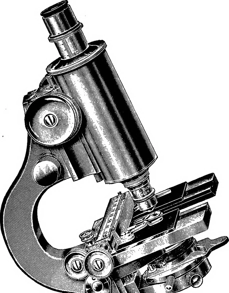 An illustration from The microscope; a simple handbook, 1921, leaf 108