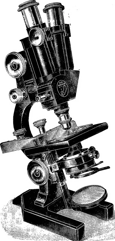 An illustration from The microscope; a simple handbook, 1921, leaf 119