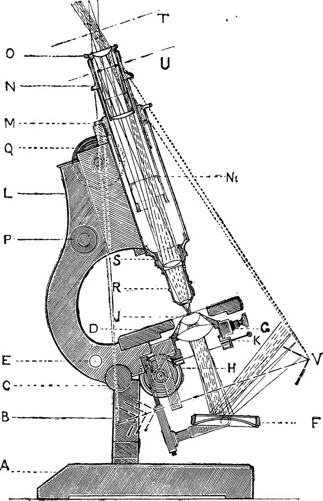 An illustration from The microscope; a simple handbook, 1921, leaf 12