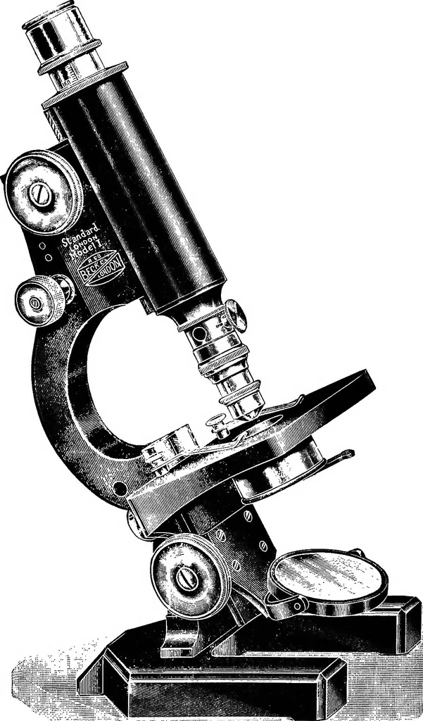 An illustration from The microscope; a simple handbook, 1921, leaf 120