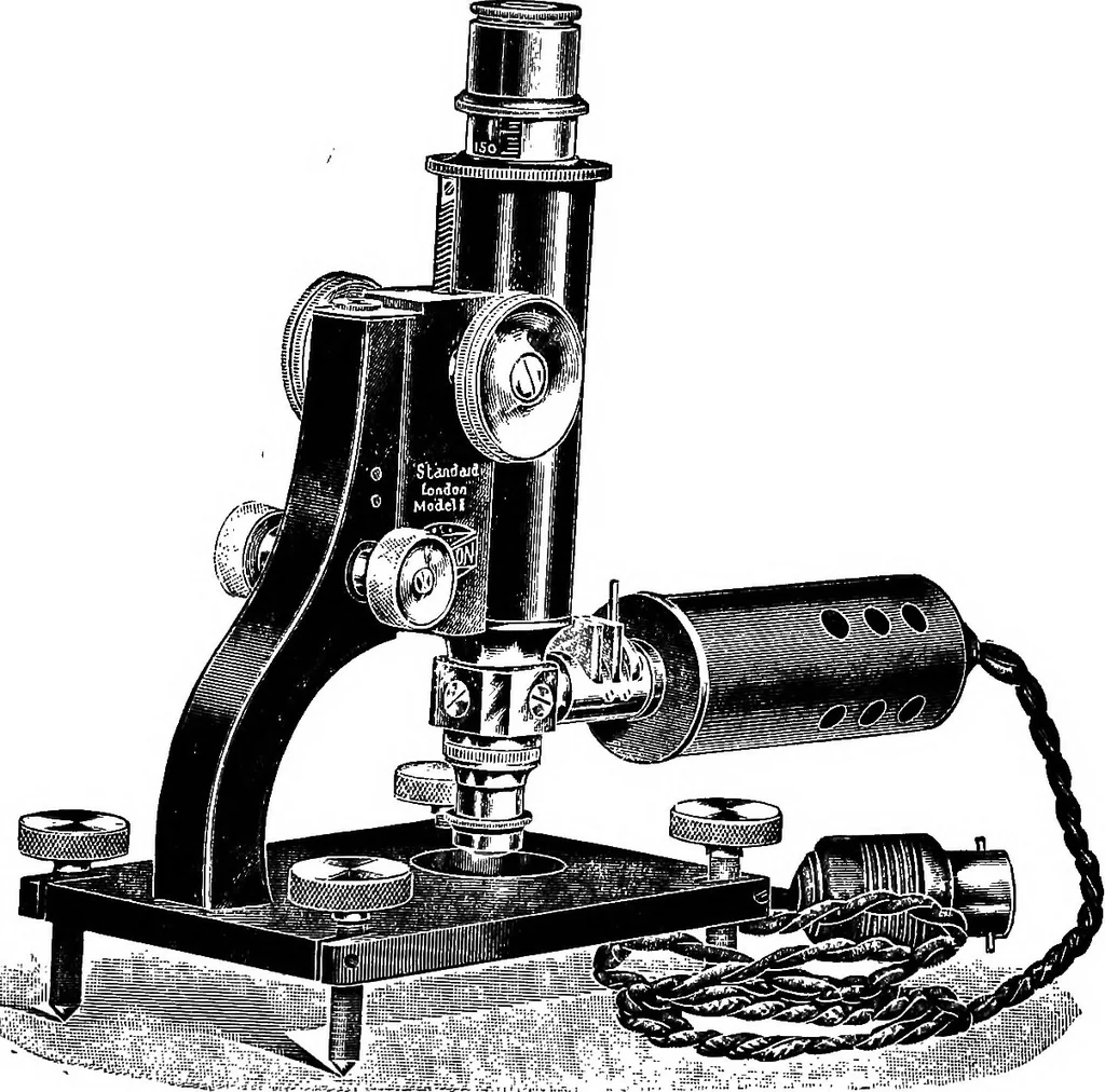 An illustration from The microscope; a simple handbook, 1921, leaf 123