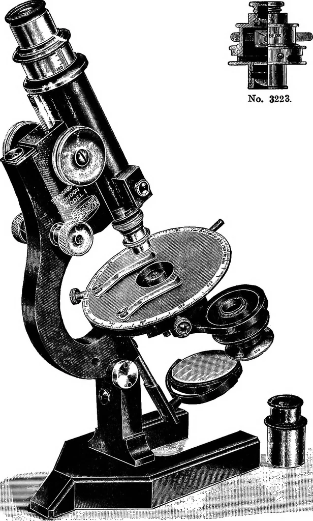 An illustration from The microscope; a simple handbook, 1921, leaf 126