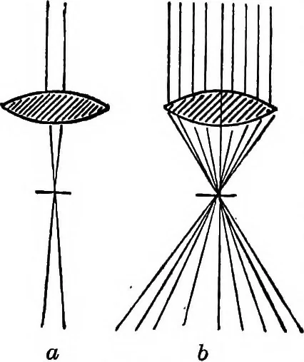 An illustration from The microscope; a simple handbook, 1921, leaf 27