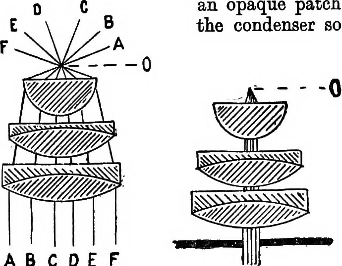 An illustration from The microscope; a simple handbook, 1921, leaf 30