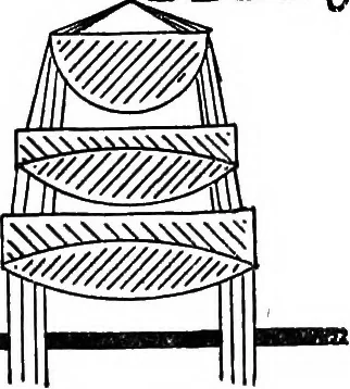 An illustration from The microscope; a simple handbook, 1921, leaf 30