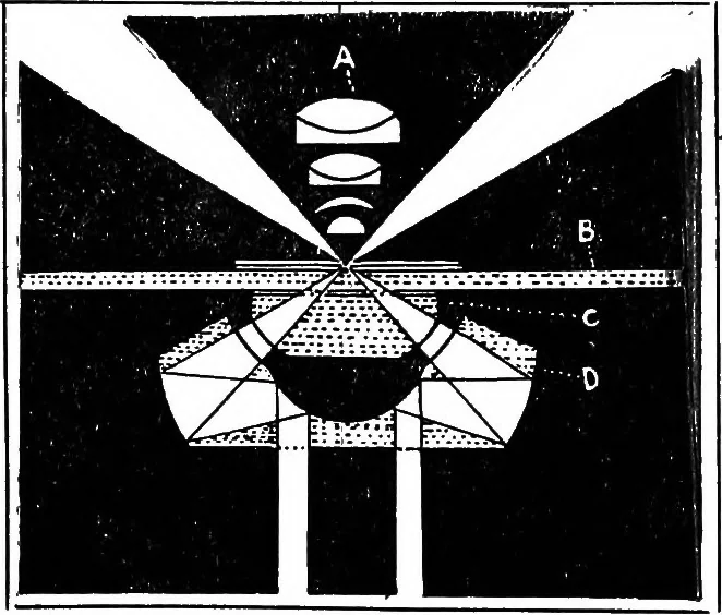 An illustration from The microscope; a simple handbook, 1921, leaf 38