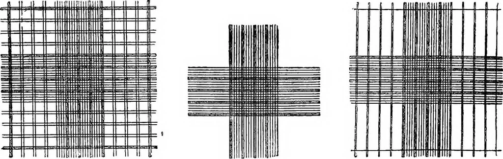 An illustration from The microscope; a simple handbook, 1921, leaf 63