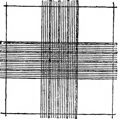 An illustration from The microscope; a simple handbook, 1921, leaf 63