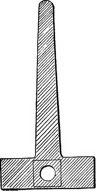 An illustration from The microscope; a simple handbook, 1921, leaf 65