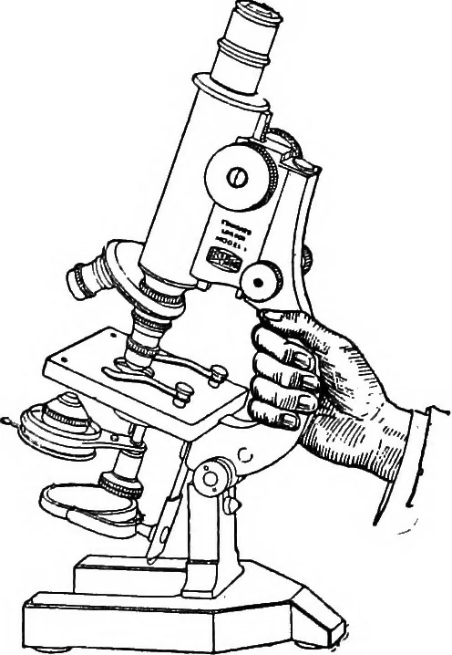 An illustration from The microscope; a simple handbook, 1921, leaf 97
