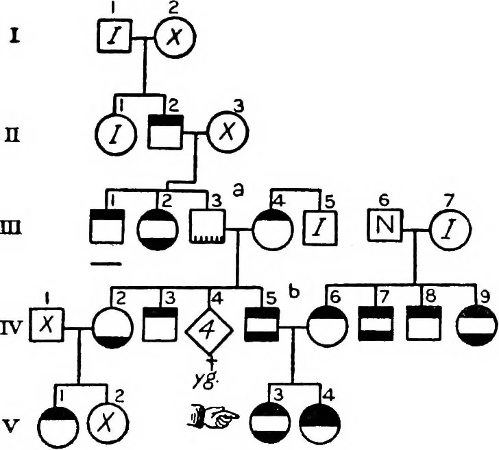 An illustration from The feebly inhibited; Nomadism, or the wandering impulse, with special reference to heredity, Inheritance of temperament, 1915, leaf 138