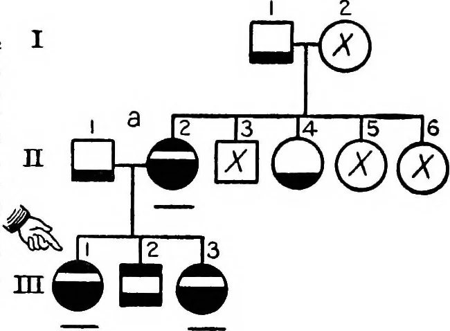 An illustration from The feebly inhibited; Nomadism, or the wandering impulse, with special reference to heredity, Inheritance of temperament, 1915, leaf 140