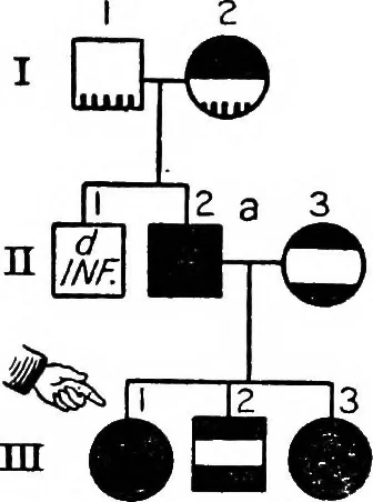 An illustration from The feebly inhibited; Nomadism, or the wandering impulse, with special reference to heredity, Inheritance of temperament, 1915, leaf 145